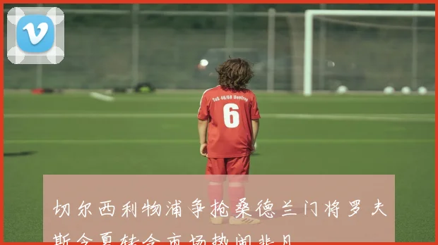 切尔西利物浦争抢桑德兰门将罗夫斯今夏转会市场热闹非凡